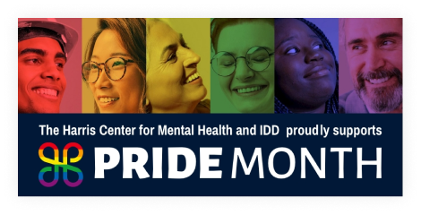 Digital Ad: Pride Month