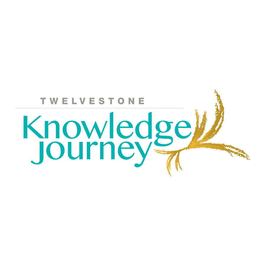 Corporate Logo Design: TwelveStone Health Partners: Knowledge Journey