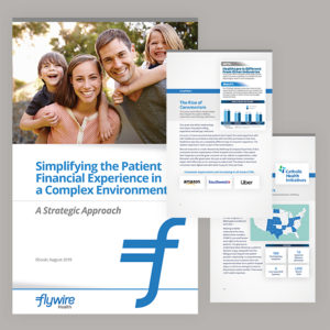 Publication Design: Ebook: Flywire Health